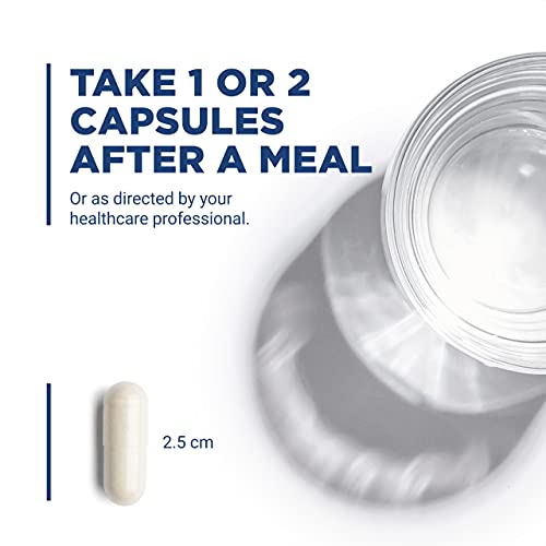 Pancreatic Enzymes - Digestion Supplement