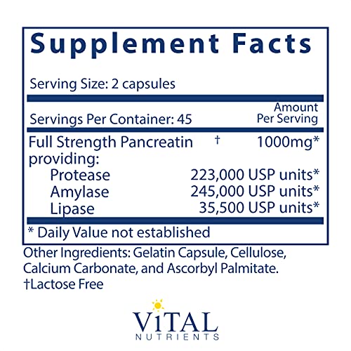 Pancreatic Enzymes - Digestion Supplement